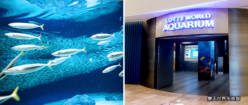 樂天水族館